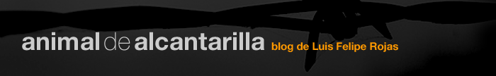 Animal de alcantarilla