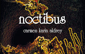 Noctibus de Carmen Karin Aldrey Noctibus de Carmen Karin Aldrey
