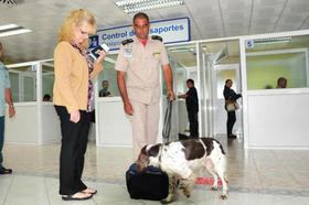 Perro encargado de detectar drogas en equipaje de viajeros en Cuba