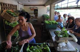 Varias personas compran vegetales en el punto de venta de un huerto urbano, el viernes 19 de agosto de 2011, en La Habana (Cuba). La agricultura urbana es una alternativa a la crónica insuficiencia de la producción rural que ha hecho que Cuba deba importar alimentos en grandes cantidades