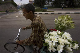 Vendedor de flores en la Habana Vieja, el 22 de octubre de 2008. (AP)
Vendedor de flores en la Habana Vieja, el 22 de octubre de 2008. (AP)