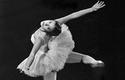 Portada de La ballerine & El Comandante, de Isis Wirth