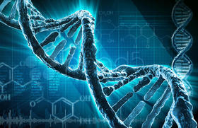 El ADN tiene una extraordinaria capacidad para almacenar información