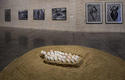 Exposición Ana Mendieta. En búsqueda del origen