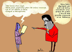 Informe