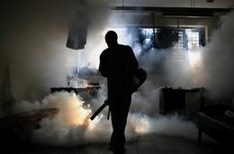 Fumigaciones en La Habana contra el mosquito transmisor del dengue Fumigaciones en La Habana contra el mosquito transmisor del dengue