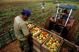 Agricultura Agricultura