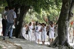 Damas de Blanco Damas de Blanco