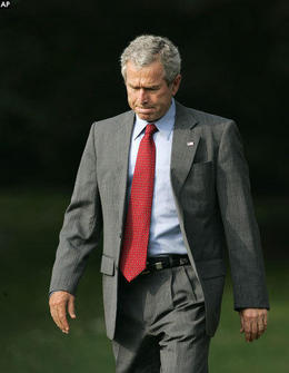 Bush Bush