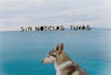 Sin noticias tuyas