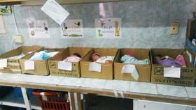 Recién nacidos en cajas de cartón en Venezuela. Recién nacidos en cajas de cartón en Venezuela