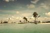Miami: tropicaldepression