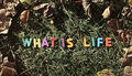 George Harrison, «What Is Life», vídeo oficial