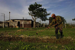 Campesino en una finca en la periferia de La Habana, el 17 de septiembre de 2008 Campesino en una finca en la periferia de La Habana, el 17 de septiembre de 2008