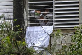 El dramaturgo Yunior García Aguilera saca la mano con una flor blanca en una ventana de su vivienda en La Habana, Cuba, el domingo 14 de noviembre de 2021