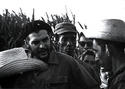 'Trabajo voluntario' en los primeros años de la Revolución. 'Trabajo voluntario' en los primeros años de la Revolución.