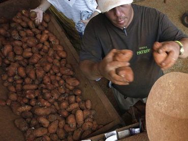 La economía en su laberinto