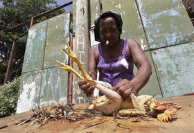 Una mujer prepara un pollo, en Holguín, el 25 de julio de 2009. (REUTERS)