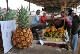 Venta de productos agrícolas en Cuba
