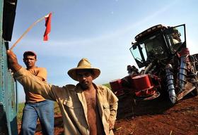 Obreros cañeros en Calimete, provincia de Matanzas (Cuba), poco antes de iniciar el corte mecanizado de caña de azúcar, en esta foto del 6 de abril de 2011. (EFE) Obreros cañeros en Calimete, provincia de Matanzas (Cuba), poco antes de iniciar el corte mecanizado de caña de azúcar