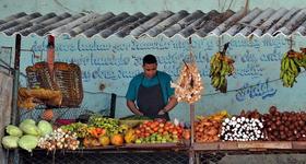 Venta de productos agrícolas en Cuba