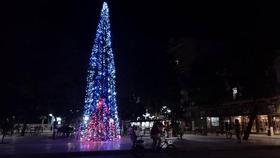 Árbol de la Amistad Cuba-Italia