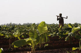 Un campesino en las afueras de La Habana. (REUTERS)