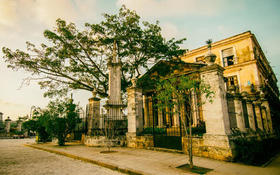Ceiba y Templete, La Habana