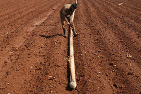 Campesino en San Antonio de los Baños. (REUTERS)