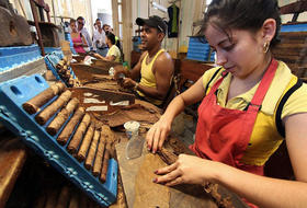 Trabajadores cubanos