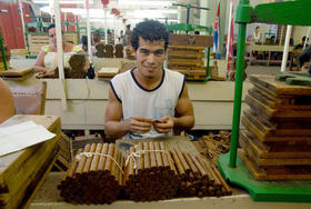 Torcedor de tabaco cubano