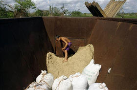 Almacenamiento de arroz en Los Palacios, en la provincia de Pinar del Río, el 20 de septiembre de 2008. (AP)