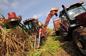 La zafra en Cuba