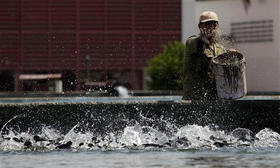 Un acuicultor alimenta a los peces en el Centro Mamposton, de San José de las Lajas. La Habana, 17 de abril de 2009. (AP)