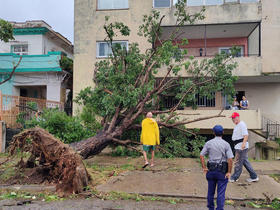 Vista de árboles caídos en una calle tras el paso del Huracán Ian, en la Habana, Cuba