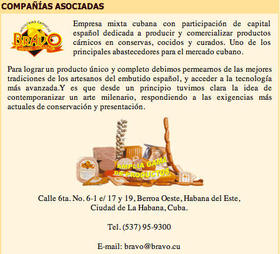 Imagen de la empresa mixta cubano española, Bravo S.A., que comercializa productos cárnicos en la Isla, en el sitio digital de Coralsa