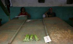 Un agromercado cubano, con sólo cuatro paquetes de cebollinos a la venta