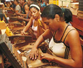 Torcedoras de tabaco cubanas