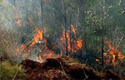 Incendio Pinares de Mayarí