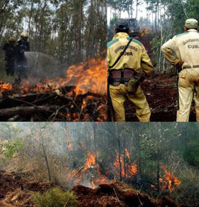 Incendio Pinares de Mayarí