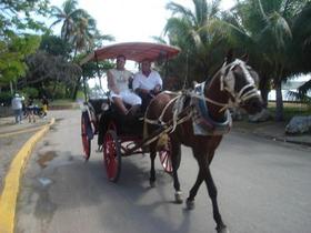 Cochero cubano. (Foto de archivo. Red Cubana de Comunicadores Comunitarios.)