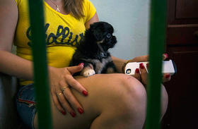 En esta foto del 19 de septiembre de 2016, Angela y su perro esperan su turno en la consulta de una veterinaria en La Habana, Cuba. En esta foto del 19 de septiembre de 2016, Angela y su perro esperan su turno en la consulta de una veterinaria en La Habana, Cuba