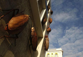 'Supervivencia', una obra del artista Roberto Fabelo exhibida en el Museo Nacional de Bellas Artes. (REUTERS)