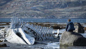 Fotograma de Leviathan