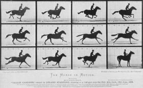 El fotógrafo inglés Eadweard Muybridge realizó una serie de instantáneas del galope de los caballos