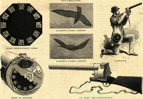 Fusil fotográfico de Marey