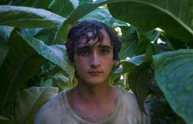 Happy as Lazzaro