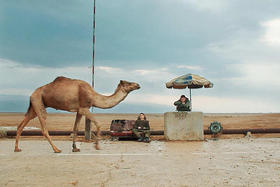 Foxtrot