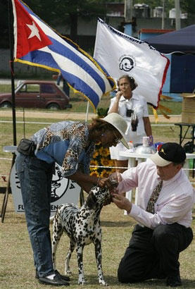 Exhibición Internacional de Perros en La Habana