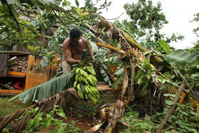 Campesino en la provincia de Pinar del Río